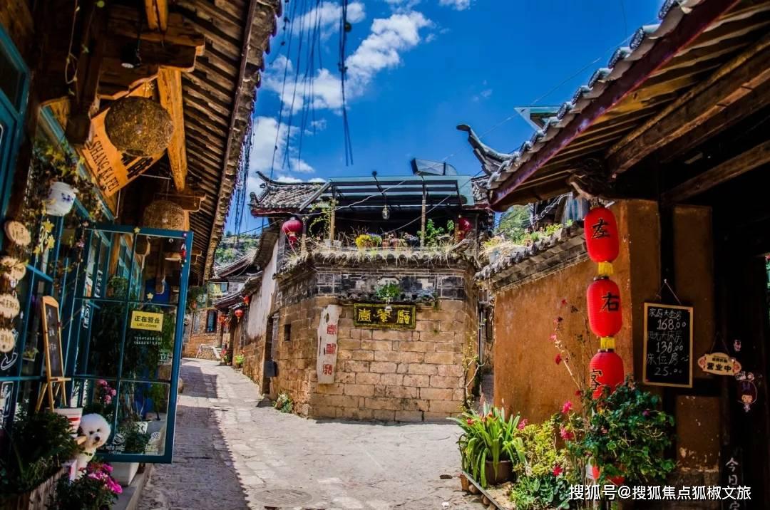 大茴香是什么东西,是大料吗?-最新热门话题讨论社区